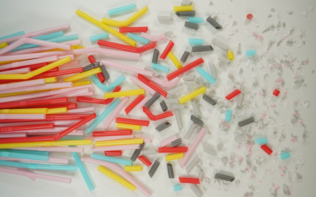 conquering the lsat by question type